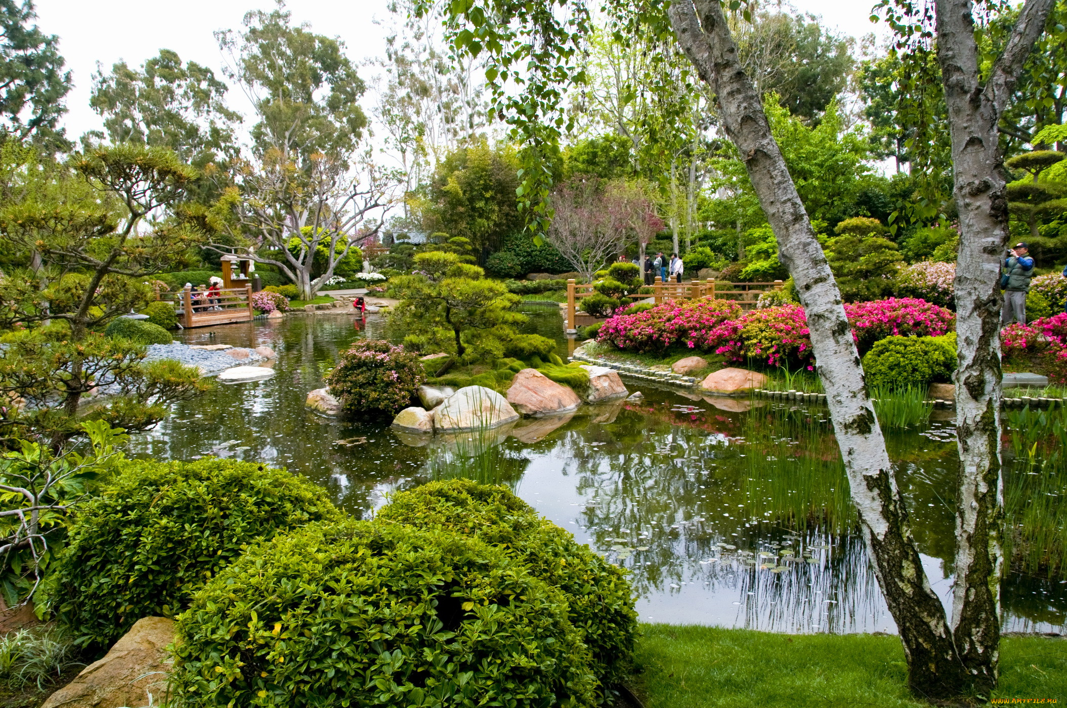 miller, japanese, garden, , , , 